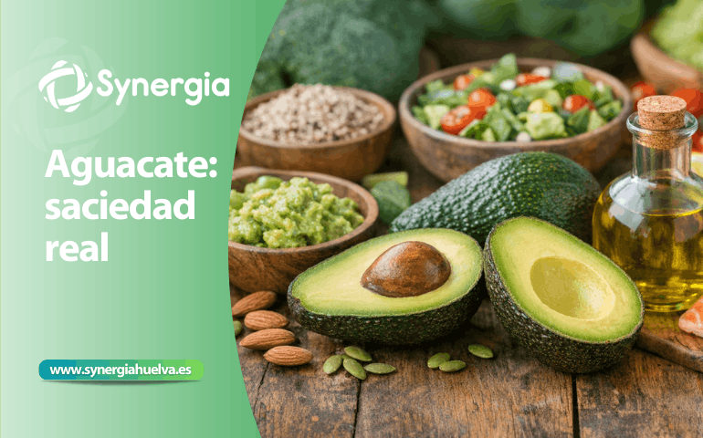 Todo lo que debes saber sobre el aguacate